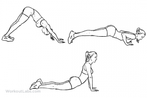 dive_bomber_push-up_f_workoutlabs